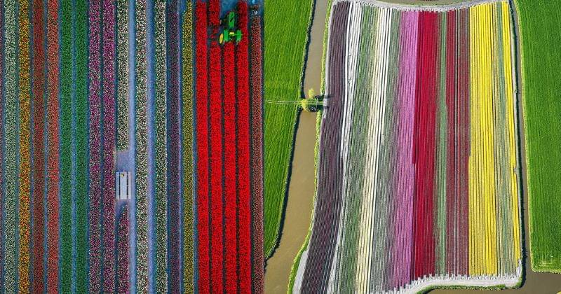 Instagram.com/Arden_nl